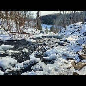 Meet your Posher, Elaine